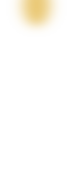 おしながき