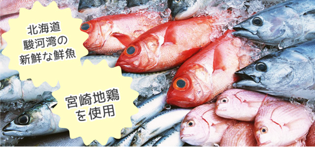 北海道駿河湾の新鮮な鮮魚/宮崎地鶏を使用